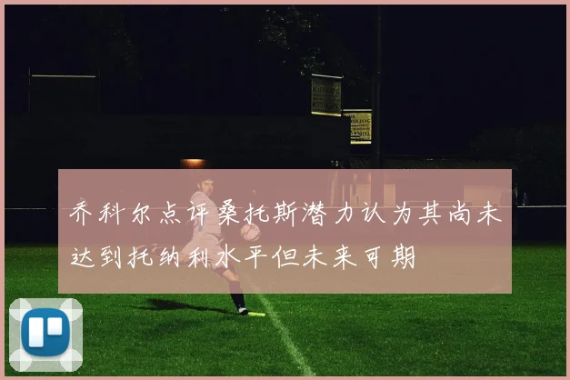 乔科尔点评桑托斯潜力认为其尚未达到托纳利水平但未来可期