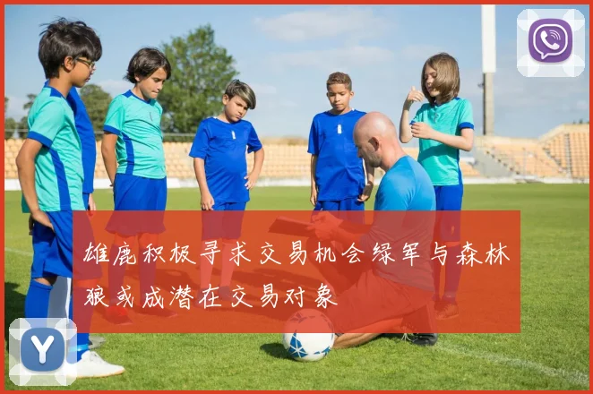雄鹿积极寻求交易机会绿军与森林狼或成潜在交易对象