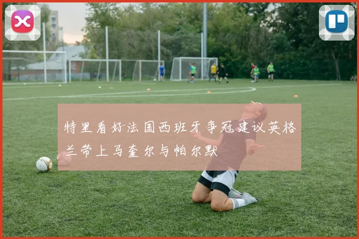 特里看好法国西班牙争冠建议英格兰带上马奎尔与帕尔默